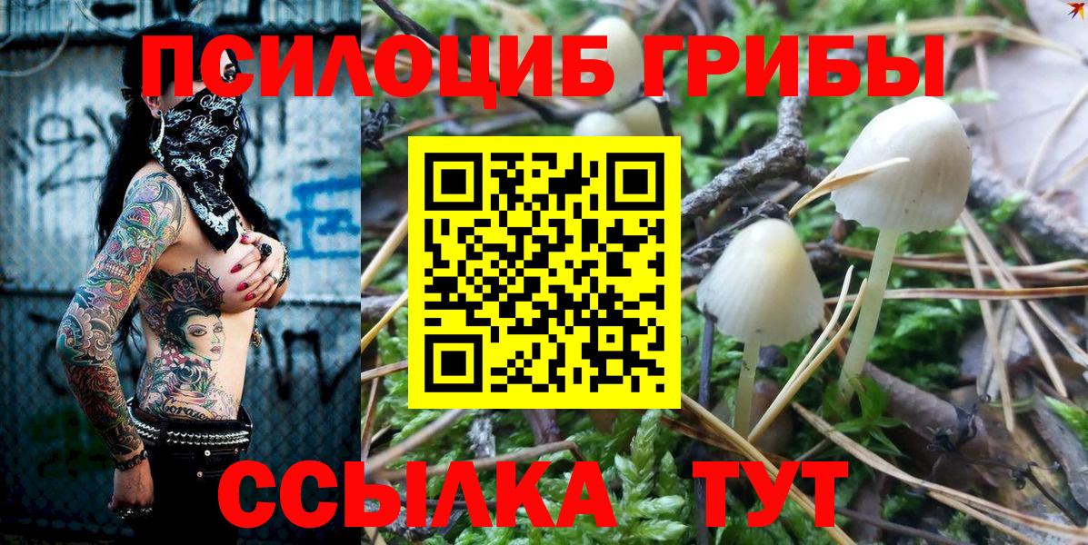 Псилоцибиновые грибы мицелий  Вход с VPN  Кувандык  Псилоцибиновые грибы мухоморы 