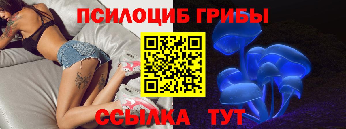 Псилоцибиновые грибы Cubensis Кувандык